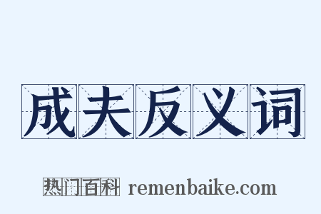 成夫反义词是什么意思的图片